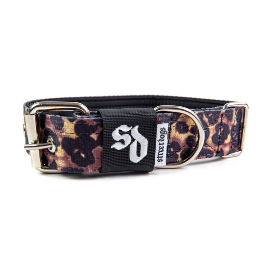Collar Regular 3,8 cm para Perros -  Street Dogs - Animal Print