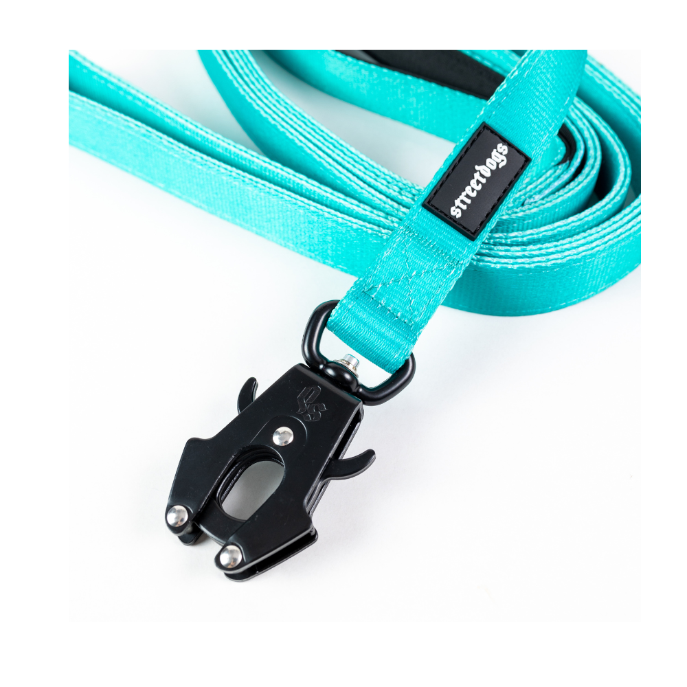 Correa Larga para Perros - Tactic | 3 mts | Turquoise