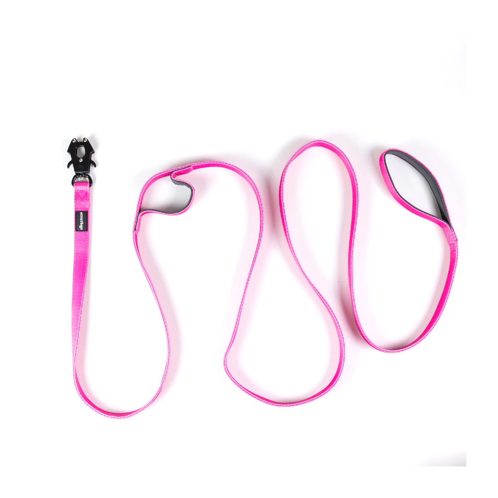 Correa Larga para Perros - Tactic | 3 mts | Pink