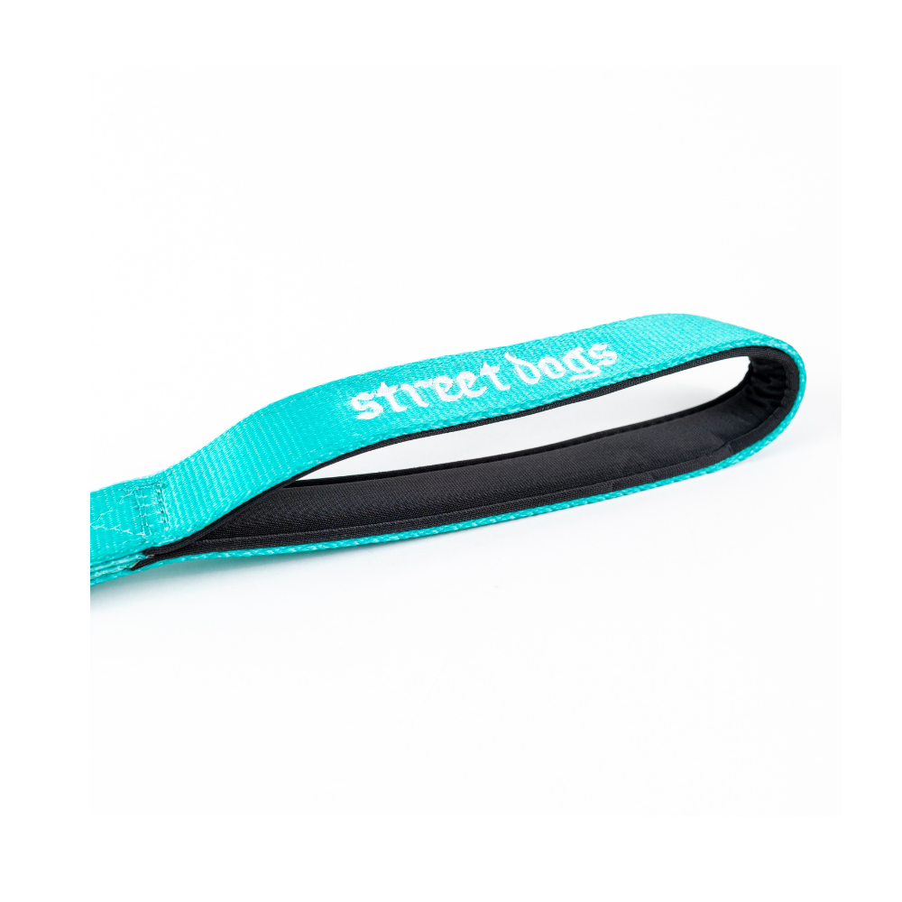 Correa Larga para Perros - Tactic | 3 mts | Turquoise